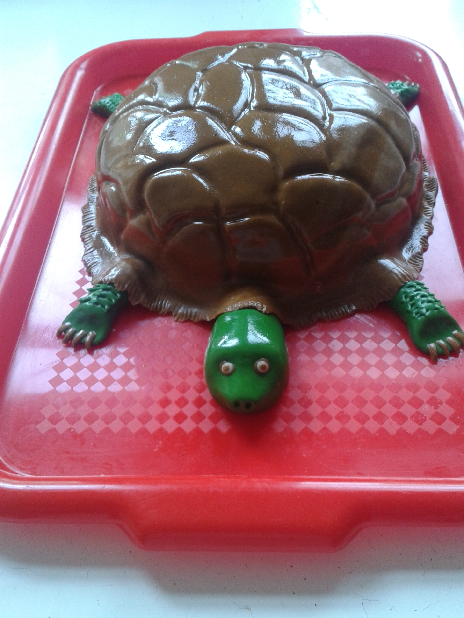 zelená želva